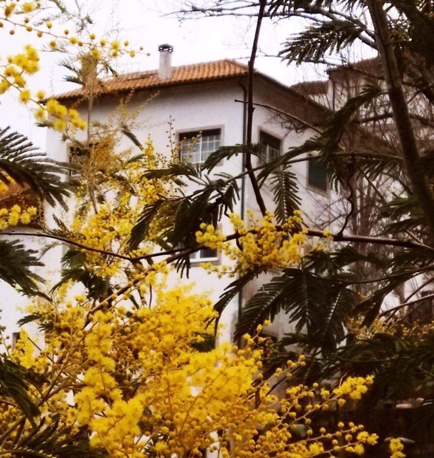 Hotel Casa Do Rio Termas de Sao Pedro do Sul Zewnętrze zdjęcie